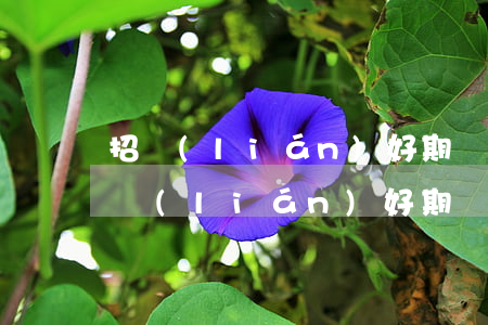 招聯(lián)好期貸逾期通知被起訴 招聯(lián)好期貸逾期10天發(fā)信息說聯(lián)系公司