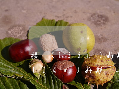 招聯(lián)好期貸逾期還不上(招聯(lián)好期貸逾期還不上警察會(huì)找上門嗎)
