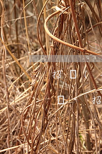招聯(lián)好期貸逾期還不上會起訴嗎-招聯(lián)好期貸逾期半年了,還不上怎么辦?