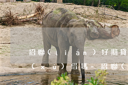 招聯(lián)好期貸還款當天可以繼續(xù)借嗎-招聯(lián)好期貸還款當天可以繼續(xù)借嗎安全嗎