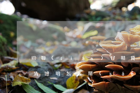 招聯(lián)好期貸還款結(jié)清證明怎么開(kāi)-