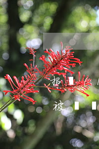 招聯(lián)沒(méi)逾期還款后被凍結(jié)(招聯(lián)金融逾期被凍結(jié)還款會(huì)立刻解凍嗎)