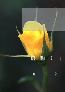 招聯(lián)沒還完但沒逾期過會(huì)上征信嘛-招聯(lián)沒還完但沒逾期過會(huì)上征信嘛
