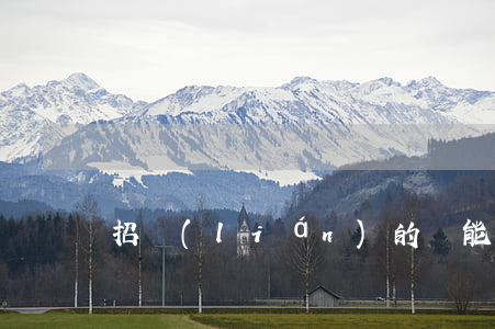 招聯(lián)的錢能停息掛賬嗎