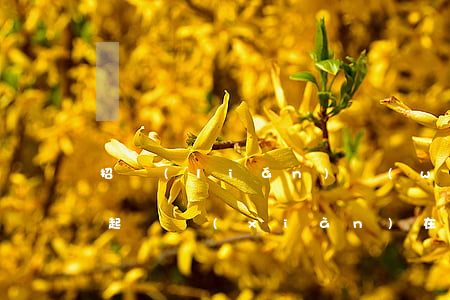 招聯(lián)網(wǎng)貸逾期被起訴現(xiàn)在沒有錢還怎么辦（招聯(lián)網(wǎng)貸逾期被起訴）