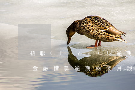 招聯(lián)財逾期(招聯(lián)金融借款逾期兩個月說要告我是不是真的)