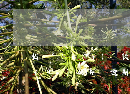 招聯(lián)貸款逾期25天(招聯(lián)好期貸逾期了60天短信發(fā)來說起訴我)