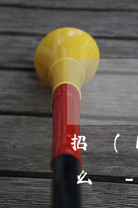 招聯(lián)起訴以后還是無力償還怎么辦-招聯(lián)起訴會怎么樣