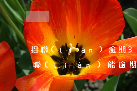 招聯(lián)逾期3千多會被起訴嗎(招聯(lián)能逾期多久)