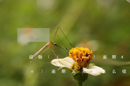 招聯(lián)逾期4萬-招聯(lián)逾期五天會怎么樣