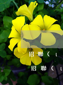 招聯(lián)逾期600起訴是真的嗎 招聯(lián)金融欠了1000多塊逾期了會(huì)被起訴嗎?