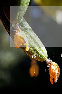 招聯(lián)逾期不還款會起訴(招聯(lián)金融逾期會怎么樣?不還錢會坐牢或被起訴嗎)