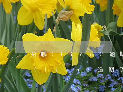 招聯(lián)逾期了如何解凍額度(招聯(lián)逾期了如何解凍額度)