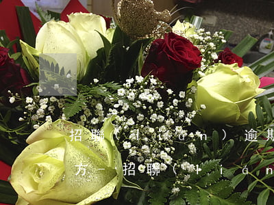 招聯(lián)逾期催債是官方還是第三方-招聯(lián)逾期催債是官方還是第三方催收