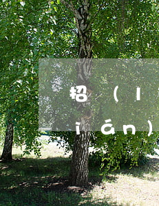 招聯(lián)逾期全部還款嗎(招聯(lián)金融有逾期后來全部結(jié)清還有機(jī)會再借嗎)