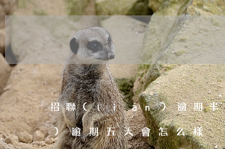招聯(lián)逾期半年 招聯(lián)逾期五天會怎么樣