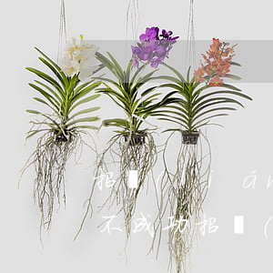 招聯(lián)逾期協(xié)商還款不成功(招聯(lián)好期貸還不上可以協(xié)商嗎)
