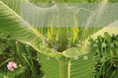招聯(lián)逾期可以還部分嗎(招聯(lián)逾期2天還了還可以循環(huán)使用嗎?)