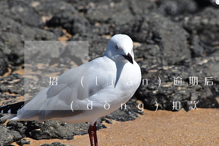 招聯(lián)逾期后還會(huì)自動(dòng)扣款嗎