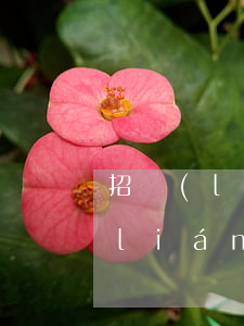 招聯(lián)逾期多久寄律師函(招聯(lián)律師函寄到家里)