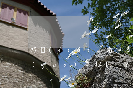 招聯(lián)逾期多久會(huì)過(guò)期(招聯(lián)逾期十二天會(huì)怎么樣)