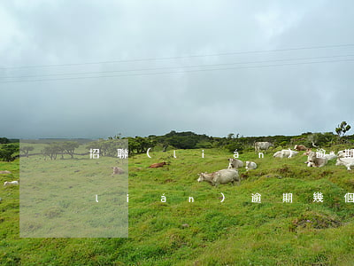 招聯(lián)逾期多久會給起訴(招聯(lián)逾期幾個小時)