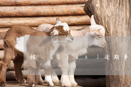 招聯(lián)逾期多少錢以上才會被起訴-