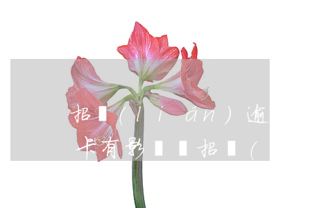 招聯(lián)逾期對(duì)辦信用卡有影響嗎(招聯(lián)好期貸影響招行信用卡嗎)