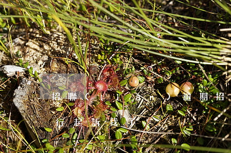 招聯(lián)逾期招商銀行起訴(招商銀行起訴我了)