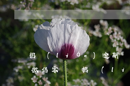 招聯(lián)逾期會(huì)直接扣微信零錢嗎(招聯(lián)金融會(huì)不會(huì)從微信上扣錢)
