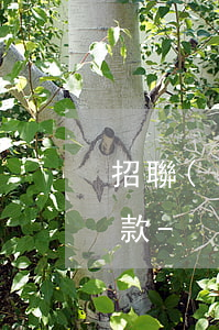 招聯(lián)逾期有錢了為什么不讓還款-