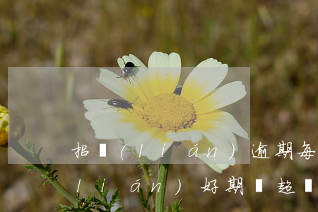 招聯(lián)逾期每天都在還款(招聯(lián)好期貸超過(guò)一天還款)