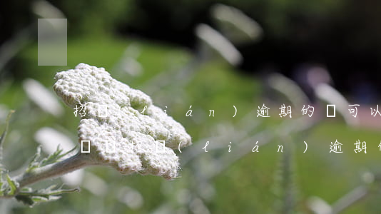 招聯(lián)逾期的還可以借360借條嗎(招聯(lián)逾期的還可以借360借條嗎)