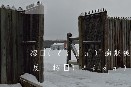 招聯(lián)逾期被凍結后怎么看總額度-招聯(lián)逾期被凍結后怎么看總額度多少