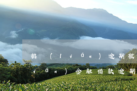 招聯(lián)逾期被起訴騙貸(招聯(lián)金融借款逾期兩個(gè)月說(shuō)要告我是不是真的)
