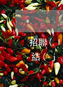 招聯(lián)逾期起訴會(huì)凍結(jié)名下資產(chǎn)嗎(招聯(lián)沒有逾期過為什么突然被凍結(jié)了)
