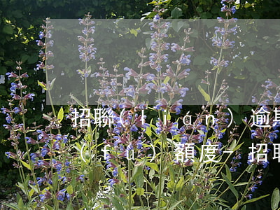 招聯(lián)逾期還了之后多久才恢復(fù)額度-招聯(lián)逾期還了之后多久才恢復(fù)額度呢