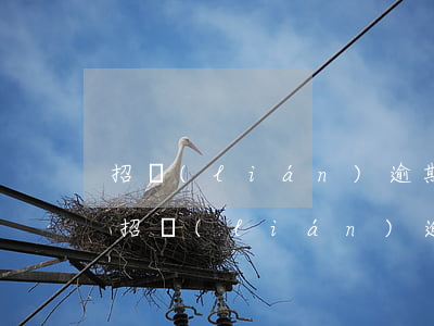 招聯(lián)逾期還完凍結(jié)(招聯(lián)逾期還完凍結(jié)多久)