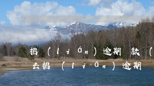 招聯(lián)逾期還款進(jìn)不去(招聯(lián)逾期兩天還進(jìn)去能不能借出來(lái)了)
