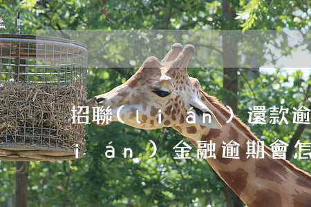 招聯(lián)還款逾期會怎樣(招聯(lián)金融逾期會怎么樣?不還錢會坐牢或被起訴嗎)