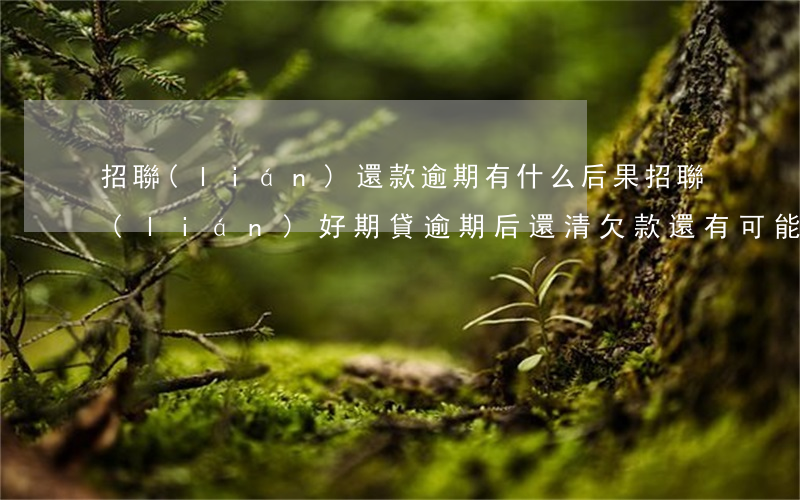 招聯(lián)還款逾期有什么后果(招聯(lián)好期貸逾期后還清欠款還有可能獲得貸款嗎?)