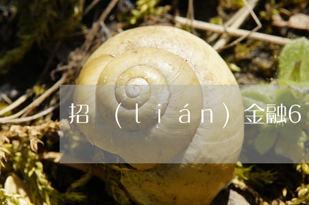 招聯(lián)金融6000欠