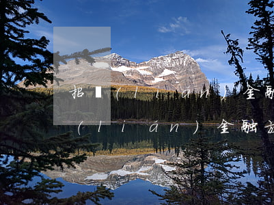 招聯(lián)金融不同意停息掛賬(招聯(lián)金融放款賬戶異常)