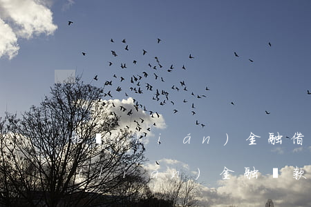 招聯(lián)金融借款逾期10天(招聯(lián)金融貸款逾期5天會有什么結(jié)果)