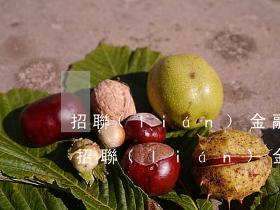 招聯(lián)金融可以延期幾天還款-招聯(lián)金融可以延期幾天還款嗎