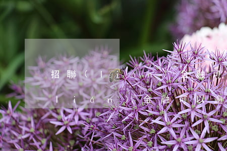 招聯(lián)金融可以逾期多久(招聯(lián)金融可以逾期多久)
