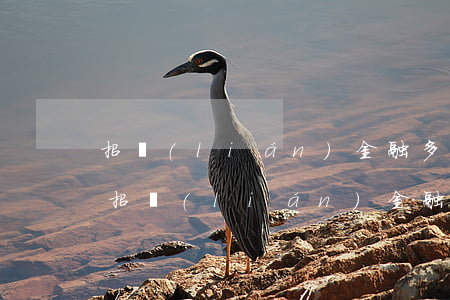 招聯(lián)金融多少欠多少錢能立案(招聯(lián)金融欠款7萬多起訴一般額度多大)
