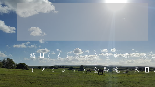 招聯(lián)金融晚一天還款逾期(招聯(lián)金融晚一天還款逾期)