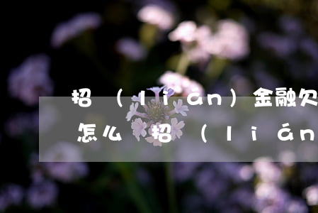 招聯(lián)金融欠10萬(wàn)怎么辦(招聯(lián)金融欠1000多3年了會(huì)不會(huì)找上門?)