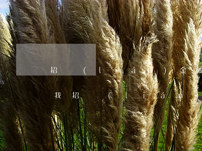 招聯(lián)金融欠1800說要起訴我(招聯(lián)金融欠款5000要起訴我真的假的)